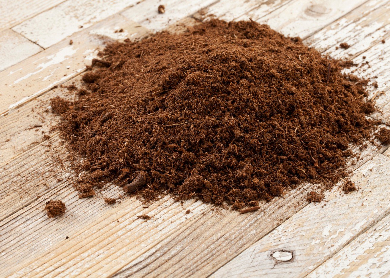 Evelinore Sentika Group