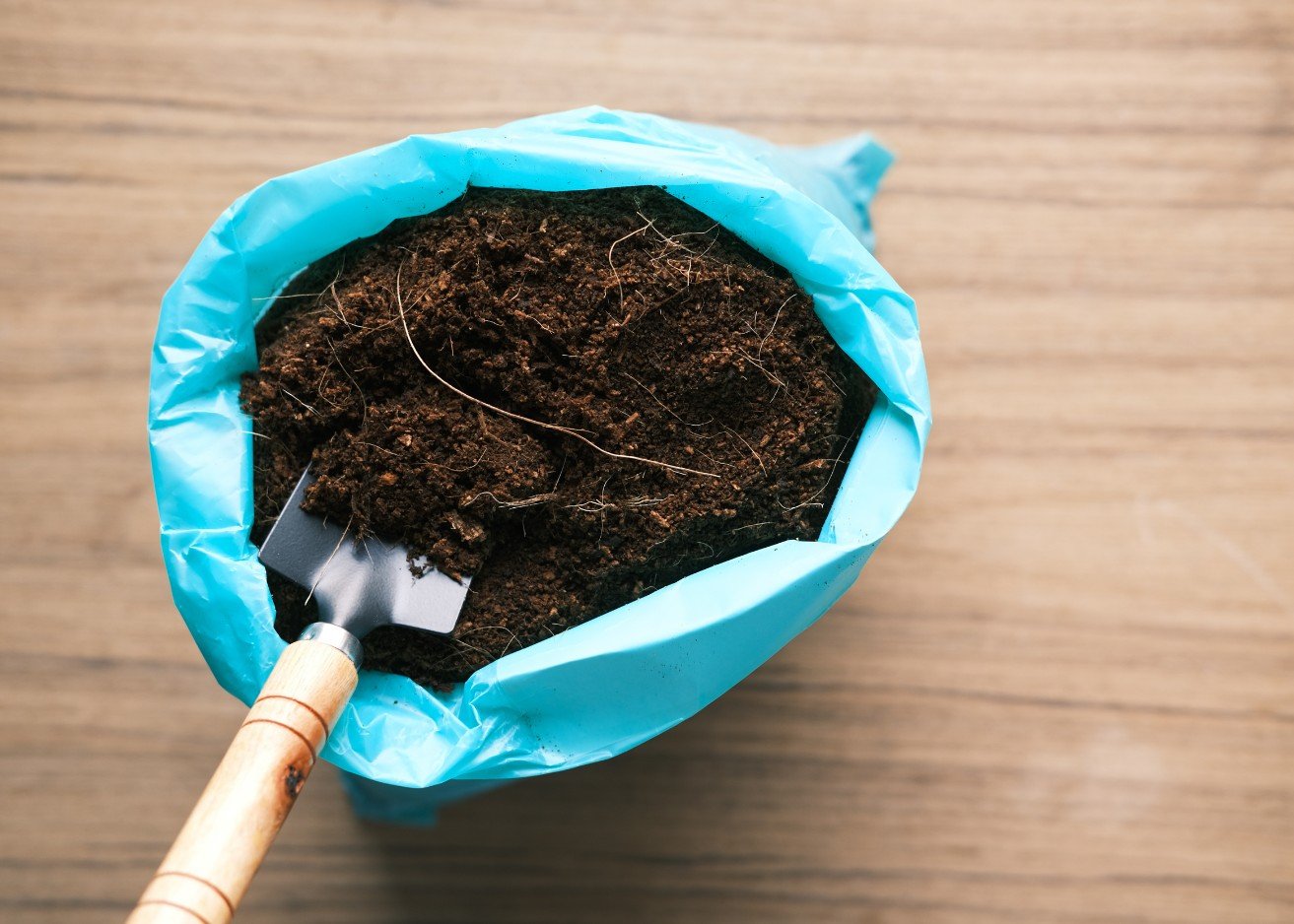 Evelinore Sentika Group