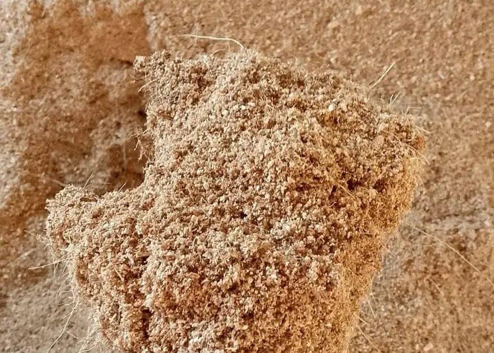 Evelinore Sentika Group