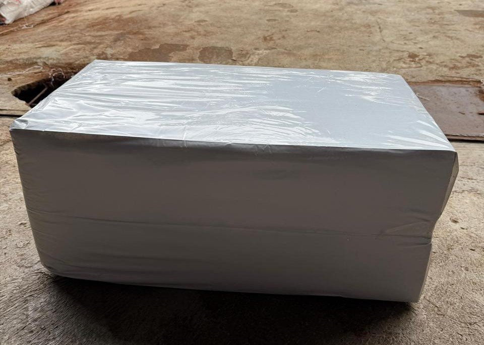 PT Evelinore photo 2