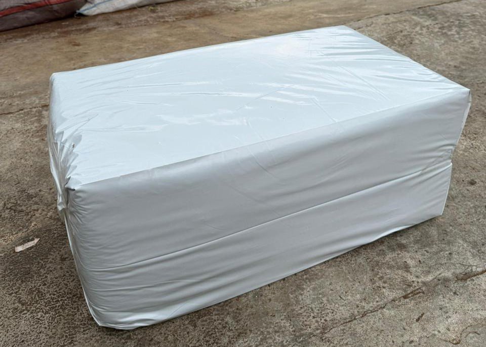 PT Evelinore photo 6