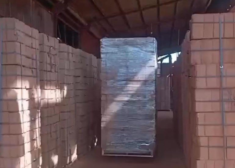 PT Evelinore photo 7